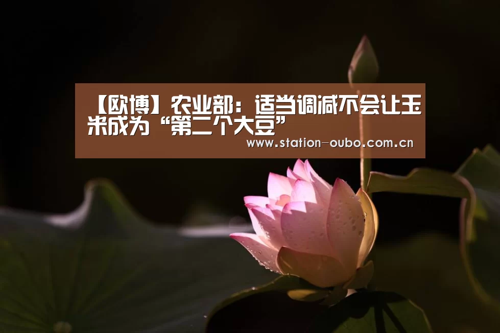 欧博官方平台